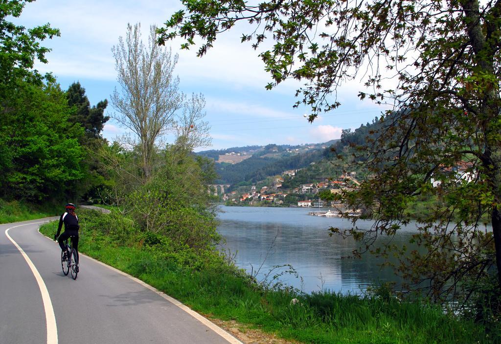 Quinta De Gildinho Villa Bagian luar foto