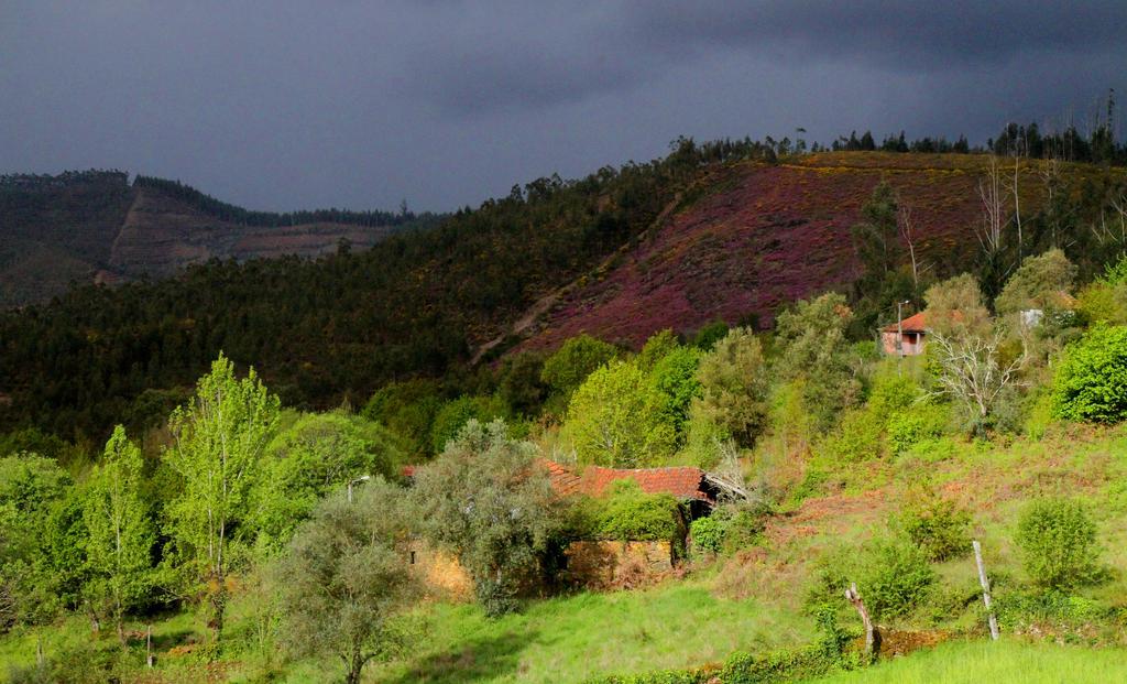 Quinta De Gildinho Villa Bagian luar foto